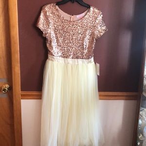 rose gold and tulle dress